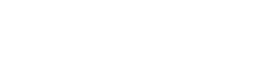 Sidekick
